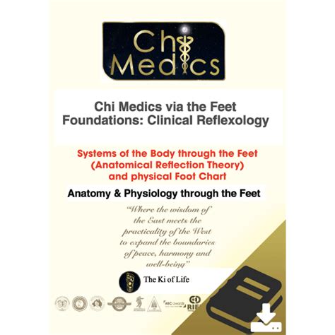 Chi Medics™ Via The Feet Foundations Systems Of The Body Colour
