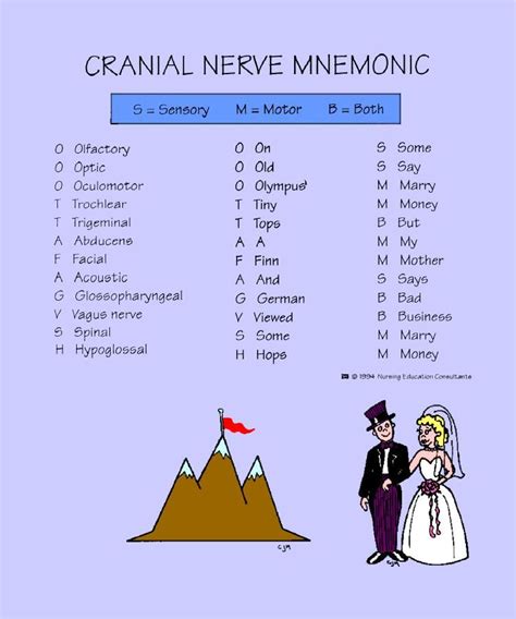 Cranial Nerve Mnemonic Cranial Nerves Mnemonic Cranial Nerves Mnemonics