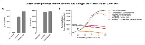 Immune Cell Mediated Tumor Killing Assays For Cancer Immunotherapy