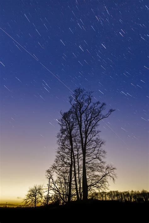 Free Images Treeline Cloud Sky Sunset Night Star Dawn