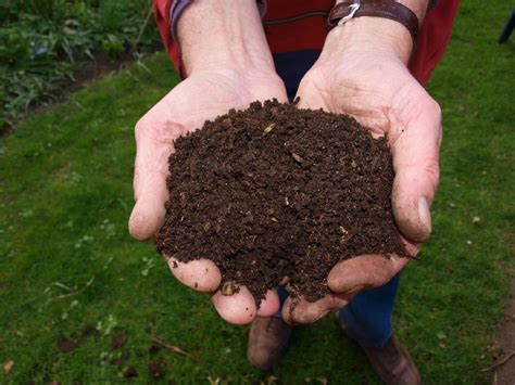 The Difference Between Dirt And Soil Tierra Permaculture