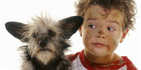 Learn about puppies with this video from kids learning videos! Who Made The Mess? Kids Or Dogs? | HuffPost