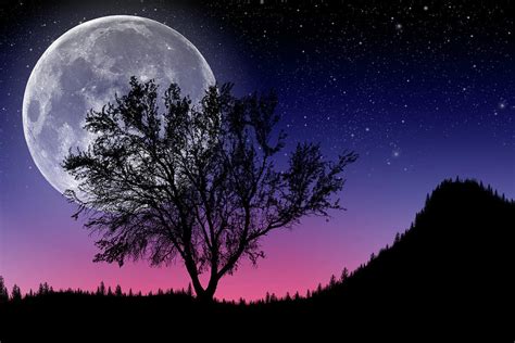 Full Moon Digital Art By Donald Schwartz