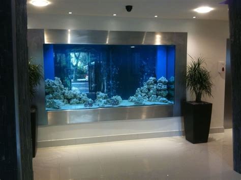 A Fish Tank Aquarium Is Not Only Beautiful But It Is Fairly Easy To