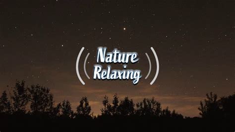 10 Hours Relaxing Night Sleep Sound Cricket Youtube