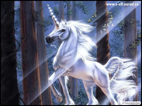Unicorn Pegasus Wallpapers Your Title