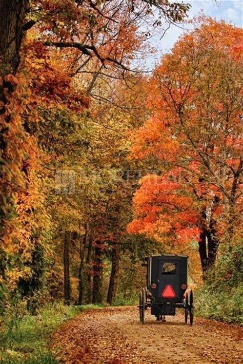 Image Result For Amish Autumn Scenes Beautiful World Beautiful Places