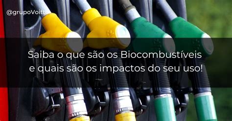 O Que São E Qual O Impacto Dos Biocombustíveis