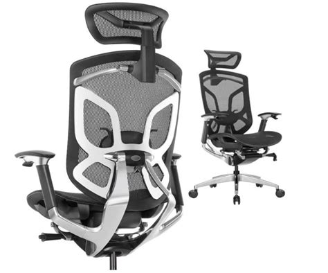 ERGOUP Ergonomic Office Chair Most Expensive Office Chair 735x612 