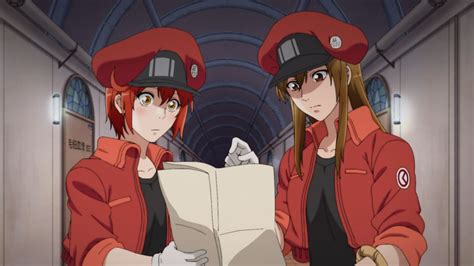 Cells At Work Anime Planet