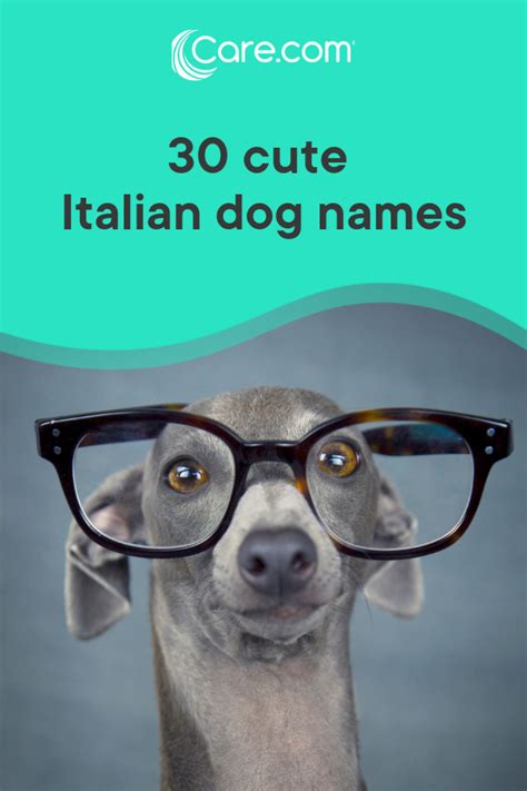 30 Cute Italian Dog Names And Their Meanings Artofit