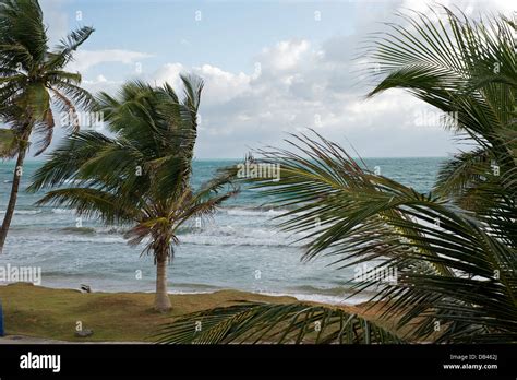 Puerto Rican Beach Scene Stock Photo Alamy