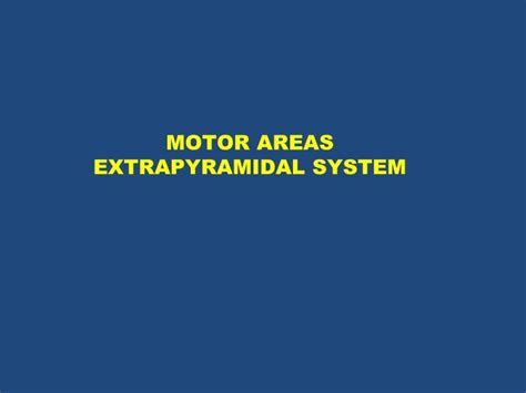 Ppt Motor Areas Extrapyramidal System Powerpoint Presentation Free