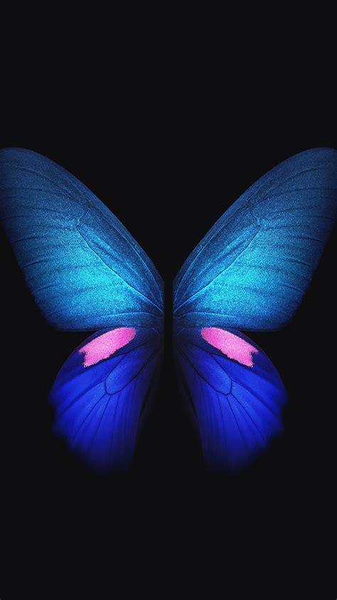 Samsung Galaxy Fold Blue Butterfly 4k Wallpapers Hd