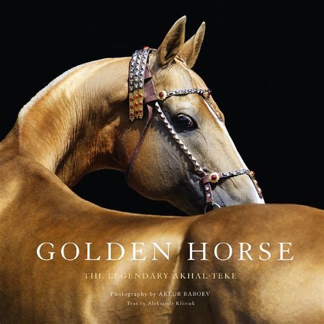 Golden Horse The Legendary Akhal Teke By Artur Baboev Issuu