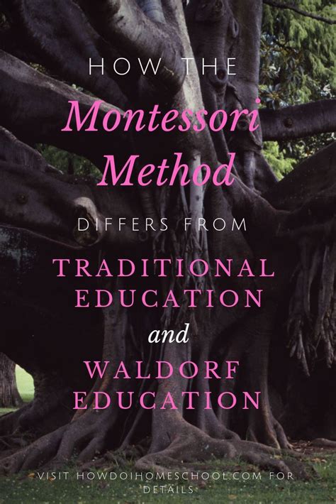 Montessori Method Differences Pros And Cons Of A Montessori Education