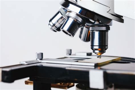 Mengenal Fungsi Lensa Okuler Dan Objektif Pada Mikroskop Laboratory