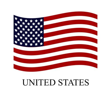 Flag Of United States Of America American Flag Flat Icon Waver ⬇