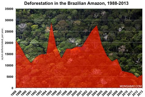 chart deforestation in the brazilian amazon environmental scientist environmental science