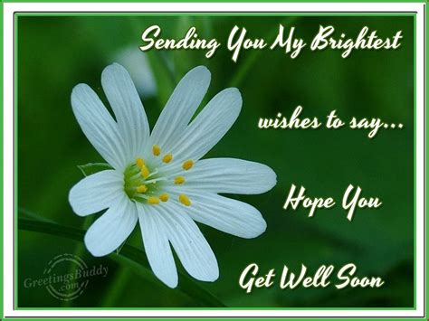 ) in a skillful or effective way: Get Well Soon Greetings, Graphics, Pictures