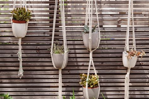 The 7 Best Hanging Planters Of 2022