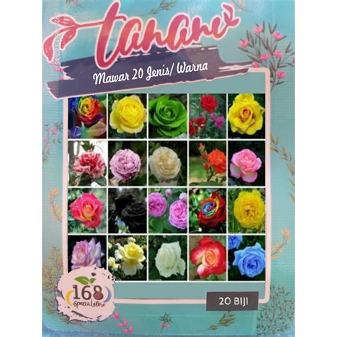Jual Benih Bibit Biji Bunga Mawar 20 Warna 1 Pieces Color Shopee