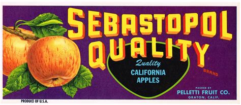 Original Vintage Apple Crate Label 1950s Quality Sebastopol Etsy
