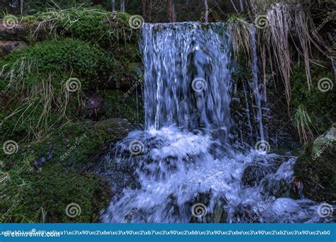 Cascade Falls Over Mossy Rocks Stock Image Image Of Environment