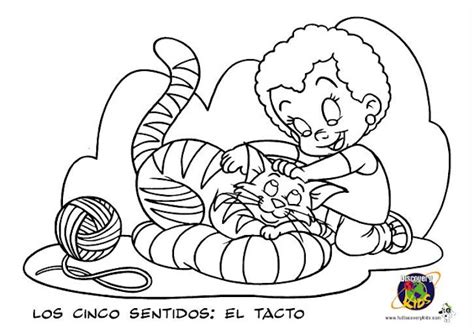 Sentido Del Tacto Para Niños Para Colorear Imagui