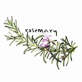 Rosemary by Gift