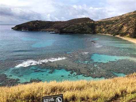 Hanauma Bay Nature Preserve Honolulu 2020 Ce Quil Faut Savoir Pour