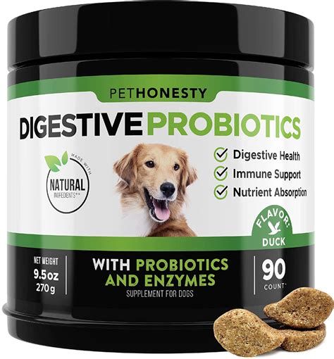 Pethonesty Probiotics For Dogs 90 All Natural Advanced Dog Probiotics