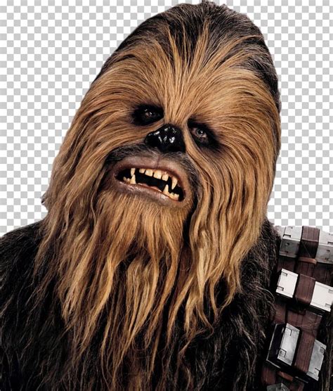 Chewbacca Han Solo Star Wars Wookiee Actor Png Clipart Actor