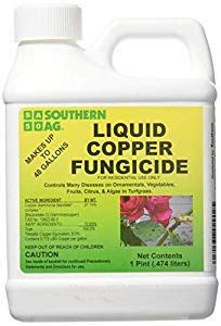 What do you have sprinkled around that that white stuff and what is it for. Southern Ag - Liquid Copper Fungicide | Fungicide, Tomato ...
