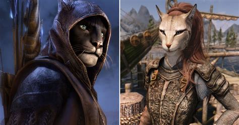 Skyrim 10 Things You Didnt Know About Khajiit