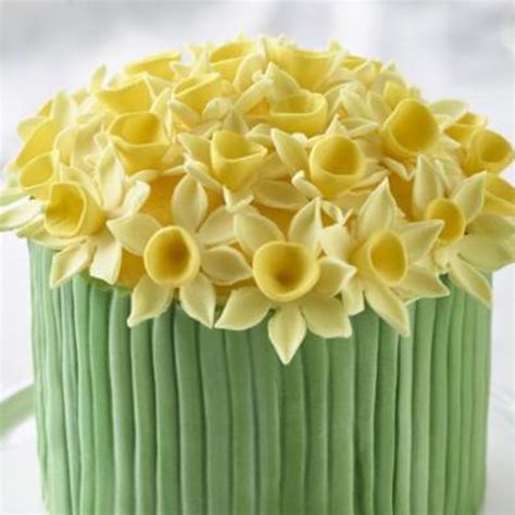 Renshaws Daffodil Cake Cake Recipe Lakeland Inspiration