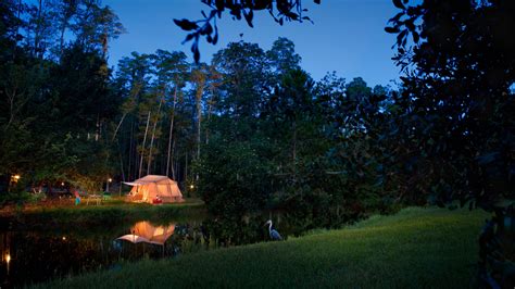 The Campsites At Disneys Fort Wilderness Resort