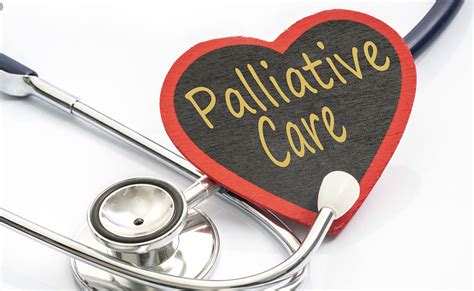 What Is Holistic Palliative Care Quality Health Care Concierge