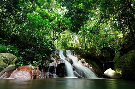 Sepilok rehabilitation centre, best places to visit in malaysia by robert nyman. The 10 Most Beautiful Places to Visit in Malaysia