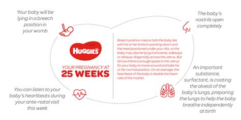 25 Weeks Pregnant Symptoms Tips And Advice Huggies My