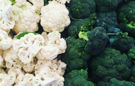A Compound Found In Broccoli And Cauliflower Shows Success In Treating