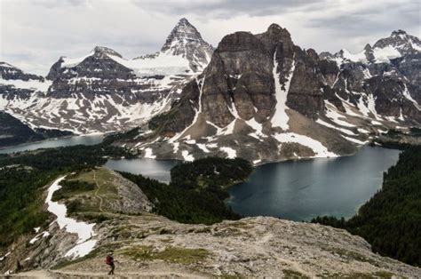 Assiniboine Lodge Updated 2017 Prices Reviews And Photos Mount Assiniboine Provincial Park