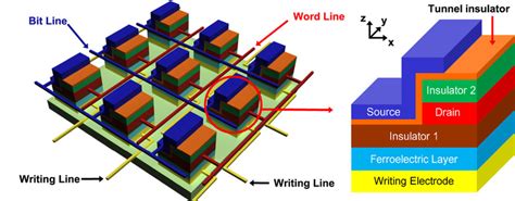 Schematic View Of Emimferroelectric Memory Cell Array The Zoom In
