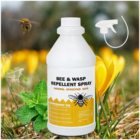 Buy Wasp And Hornet Killer Spray With Natural Based Oils Carpenter
