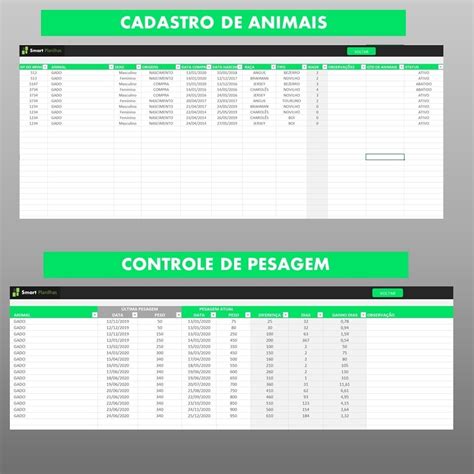 Planilha Controle De Rebanho Bovino Gado Em Excel Smart Planilhas Hot