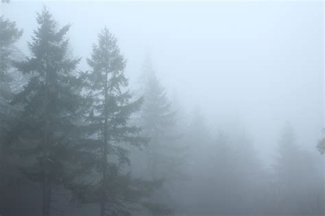 Free Images Snow Fog Mist Morning Atmosphere Weather Haze Blizzard Freezing Drizzle