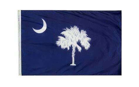 South Carolina 3x 5 Ny Glo State Flag