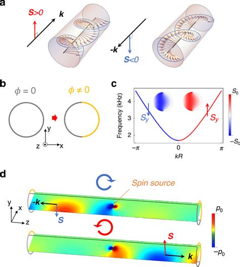 Spin Angular Momentum In Waveguide With Symmetry Breaking Boundary
