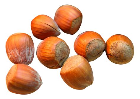 Hazelnuts Png