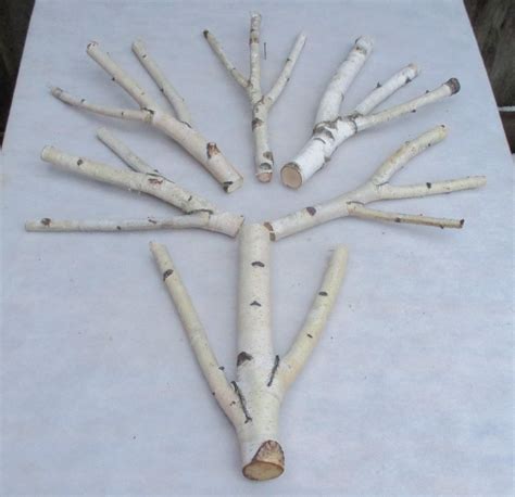 6 Unique Triple Forked Wood Sticks Birch Sticks Wood Decor Birch Log
